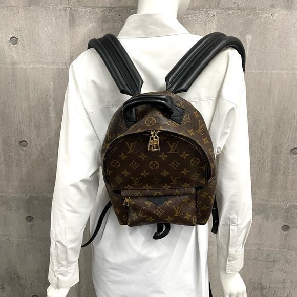 Louis Vuitton Rucksack Palm Springs Backpack PM Monogram Brown - Picture 7 of 7
